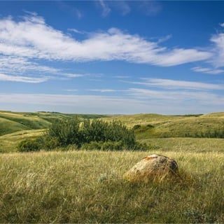 CIRNAC Minister continues to delay negotiation of “Cows and Plows” claims