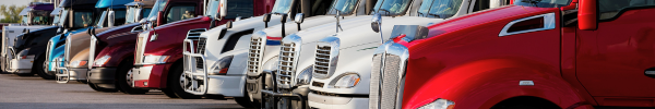 Navistar to rebrand as International