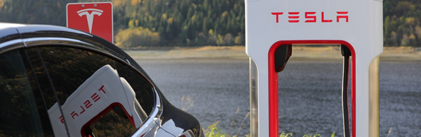 Tulipshare Takes on Tesla and Proctor & Gamble 